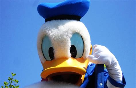 10 Interesting Facts About Donald Duck Mental Itch