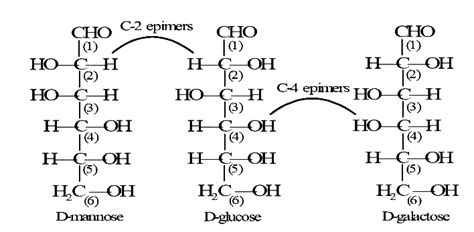 Glucose Vs Galactose Structure