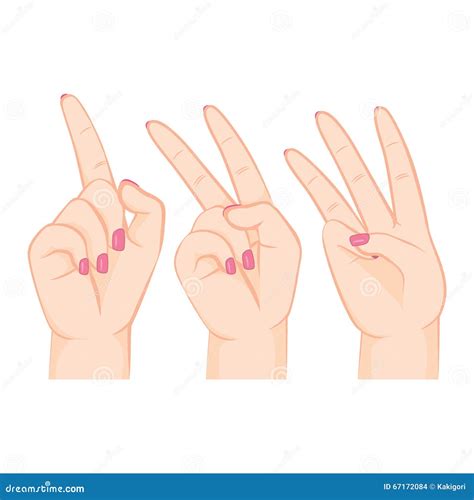 Fingers Counting Numbers Stock Vector Illustration Of Palm 67172084