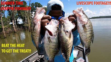 Summer Time Crappie Fishing Using Live Scope Beat The Heat To Get The