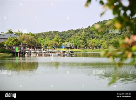 Glide across tranquil waters on a serene lake cruise. Immerse yourself