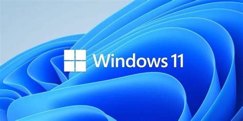 Download Windows 11 Theme