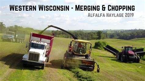 Brueggen Dairy Farm Merging And Chopping Alfalfa Haylage 2019 Youtube