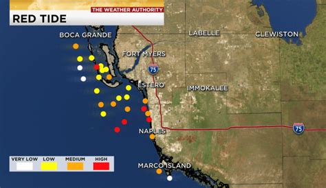 Red Tide Impacts Increasing In Southwest Florida Wink News
