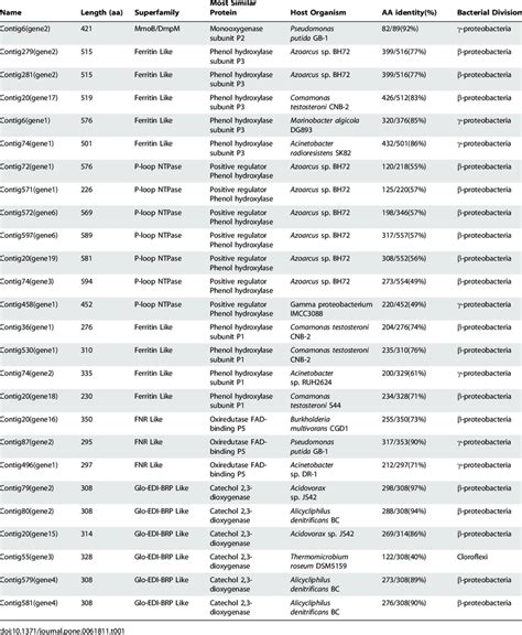 Transcribe and translate a gene · the arrangement of dna building blocks in a gene specifies the order of amino acids in the protein it codes for. How Do Proteins Relate To Traits / What Do Genes Do ...