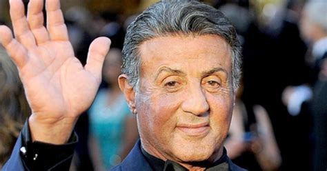 Doc argues sylvester's musical brother should have been a contender. Rambo 5: Aos 72 anos, Sylvester Stallone publica vídeo com ...