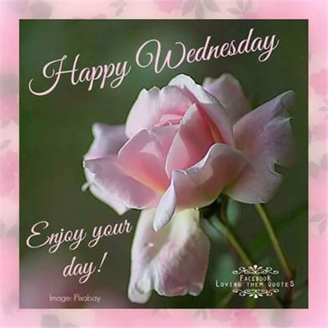 Happy Wednesday Enjoy Your Day Pictures Photos And Images For