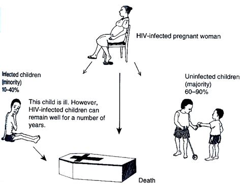 Lesson Hiv Aids Wikieducator