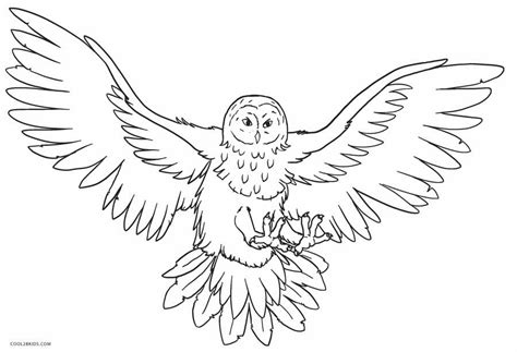 You can print or color them online at 570x713 printable owl coloring pages free coloring pages coloring book. Free Printable Owl Coloring Pages For Kids