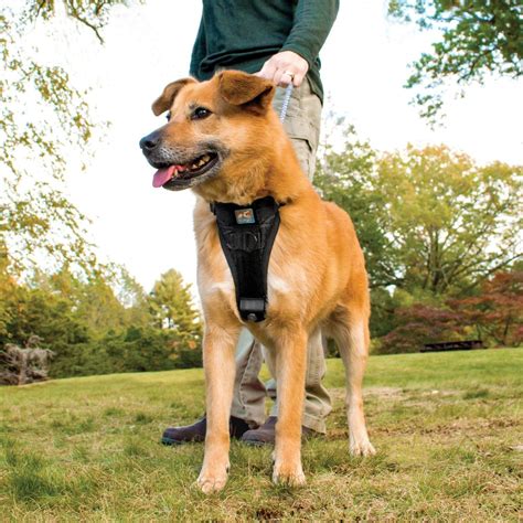 Kurgo Tru Fit No Pull Dog Harness Easy Walk Dog Harness