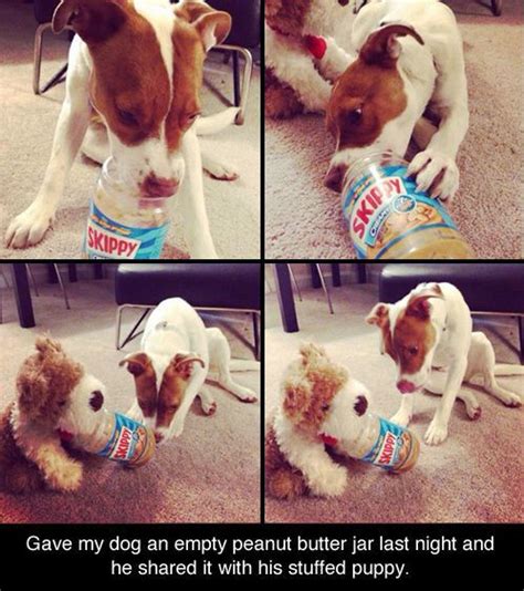 Dog Sharing Peanut Butter Love My Dog Puppy Love Animals And Pets