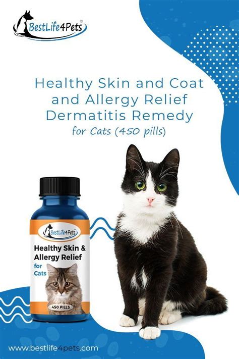 Home Remedy For Cat Skin Rash