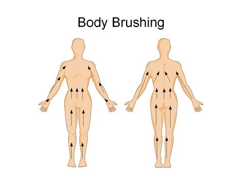 The body shop foundation buffing brush. How to Body Brush and Reap the Benefits - blossom jar