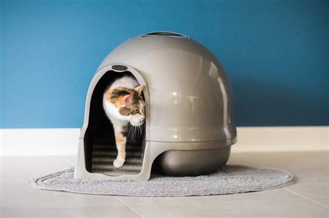 Cat Litter Box Dome Tcatcut