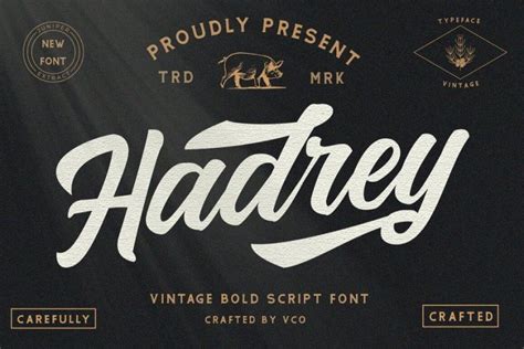 Hadrey Vintage Script Font All Free Fonts