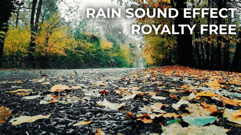 rain sound effect free
