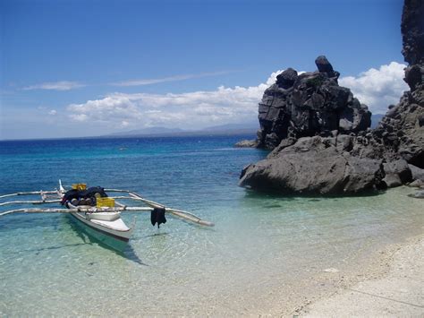 『珊瑚の海のダイブ』ネグロス島 フィリピン の旅行記・ブログ by しめさばさん【フォートラベル】