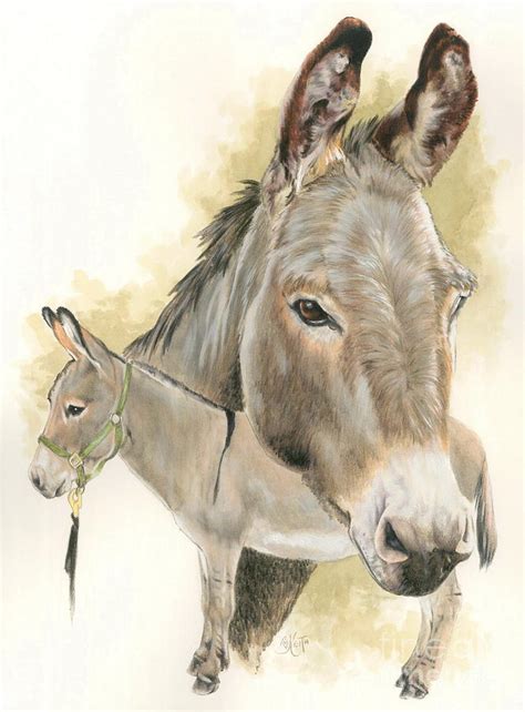 Donkey Painting By Barbara Keith