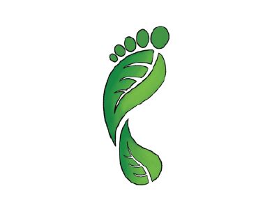 Carbon Footprint Quiz | Carbon footprint, Carbon, Footprint