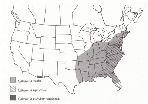 Learn more about wormwood uses. Epizootic
