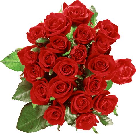 Beautiful Natural Red Rose Flowers Bouquet