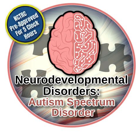 Neurodevelopmental Disorders Autism Spectrum Disorder