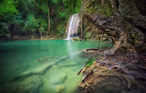 Waterfall Forest Roots Thailand Tropical Trees Green Nature Landscape Wallpapers Hd