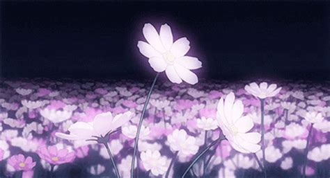 Purple Aesthetic Anime Field Flowers  Uinona S