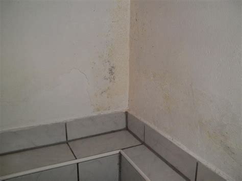 Bei hoher luftfeuchtigkeit erhöht sich die chance, dass das wasser aus der luft an wänden u.ä. Schimmel/Feuchtigkeit in der Wohnung (Souterrain ...