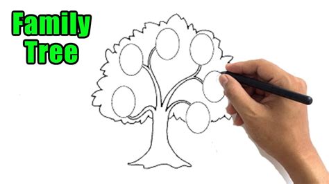 Find the perfect family tree genetics stock illustrations from getty images. How to Draw a Family Tree Easy Outline Drawing Step by Step Sketch Ideas for Beginners - YouTube