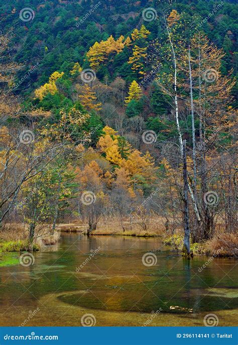 Tashiro Pond Surrounded By Woods Mountains Late Autumn Season In