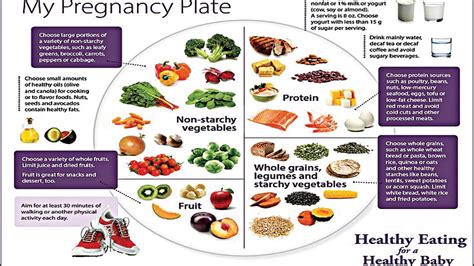 Healthy Pregnancy Diet Brichure Healthy Vegan Diet Blog