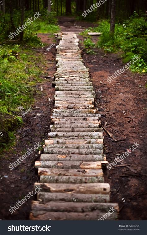 Winding Forest Wooden Path Walkway Through Stock Photo 72888295