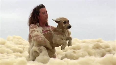 Then, i found the sweat app. Dog rescued from mountains of seafoam on Australia's coast ...