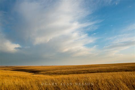 Prairie And Sky Ks1426 Gary Alan Nelson Photography
