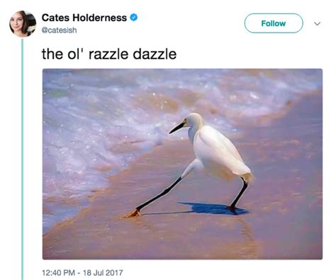 Ol Razzle Dazzle The Razzle Dazzle Bird Know Your Meme