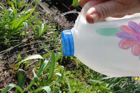 Make A Watering Device Rhs Campaign For School Gardening