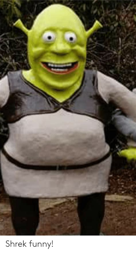 Funny Pictures Of Shrek