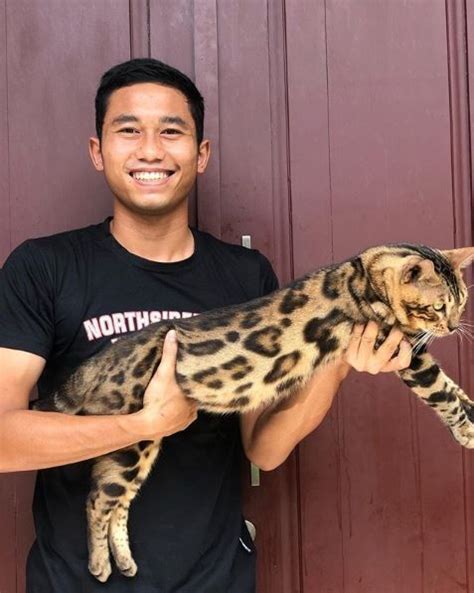 Karakteristik kucing bengal yang selanjutnya adalah gemar membasahi tubuhnya. Kesibukan Baru Ricky Fajrin, Pelihara Kucing Bengal ...