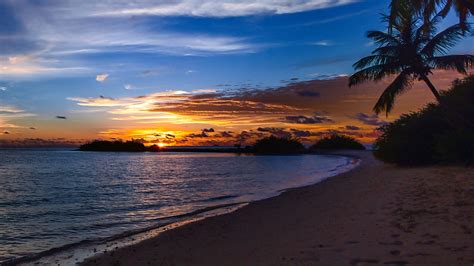 Sunset Sandy Beach Ocean Palm Orange Sky Clouds 4k Ultra