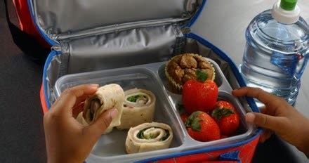 Keuntungan usaha ayam petelur dalam sekali panen. Menu Bekal Sekolah Anak