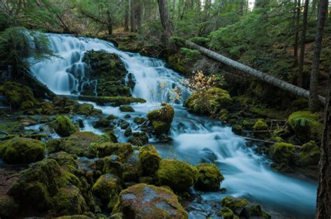 14 Breathtaking Hidden Waterfalls In Oregon