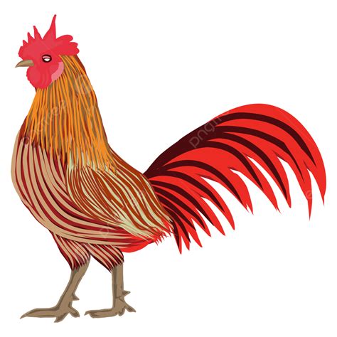 Illustration Of A Forest Rooster Vector Illustration Colored Rooster
