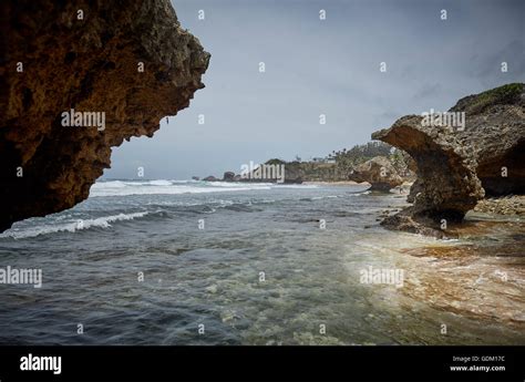 the lesser antilles barbados parish saint michael west indies capital bridgetown barbados golden