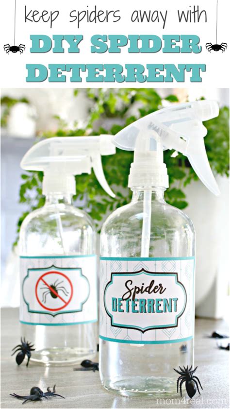 🕷️ 3 Ingredient Spider Spray Deter And Kill 🚫