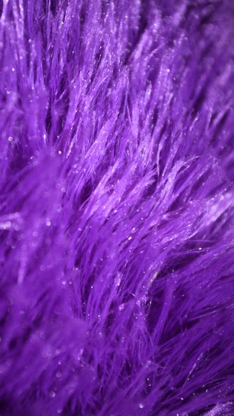 Purple Fur Wallpaper 57 Images
