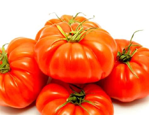 Tomato Beefsteak Heavens Harvest Store