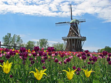 Holland is the world's biggest flower parade nation. 3̶6̶5̶Whenever I feel like itin2̶0̶1̶0̶years to come ...