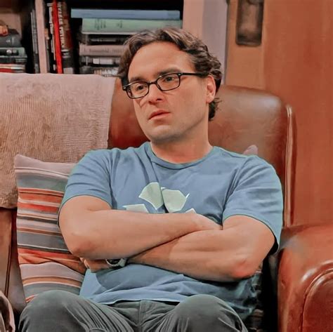 The Big Theory Big Bang Theory Leonard Hofstadter Johnny Galecki