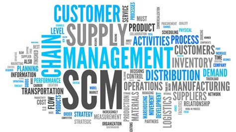 Five Essential Stages In Developing A Successful Supply Chain
